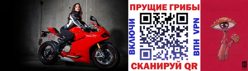 kraken как войти  Новоржев  Псилоцибиновые грибы Psilocybine cubensis 